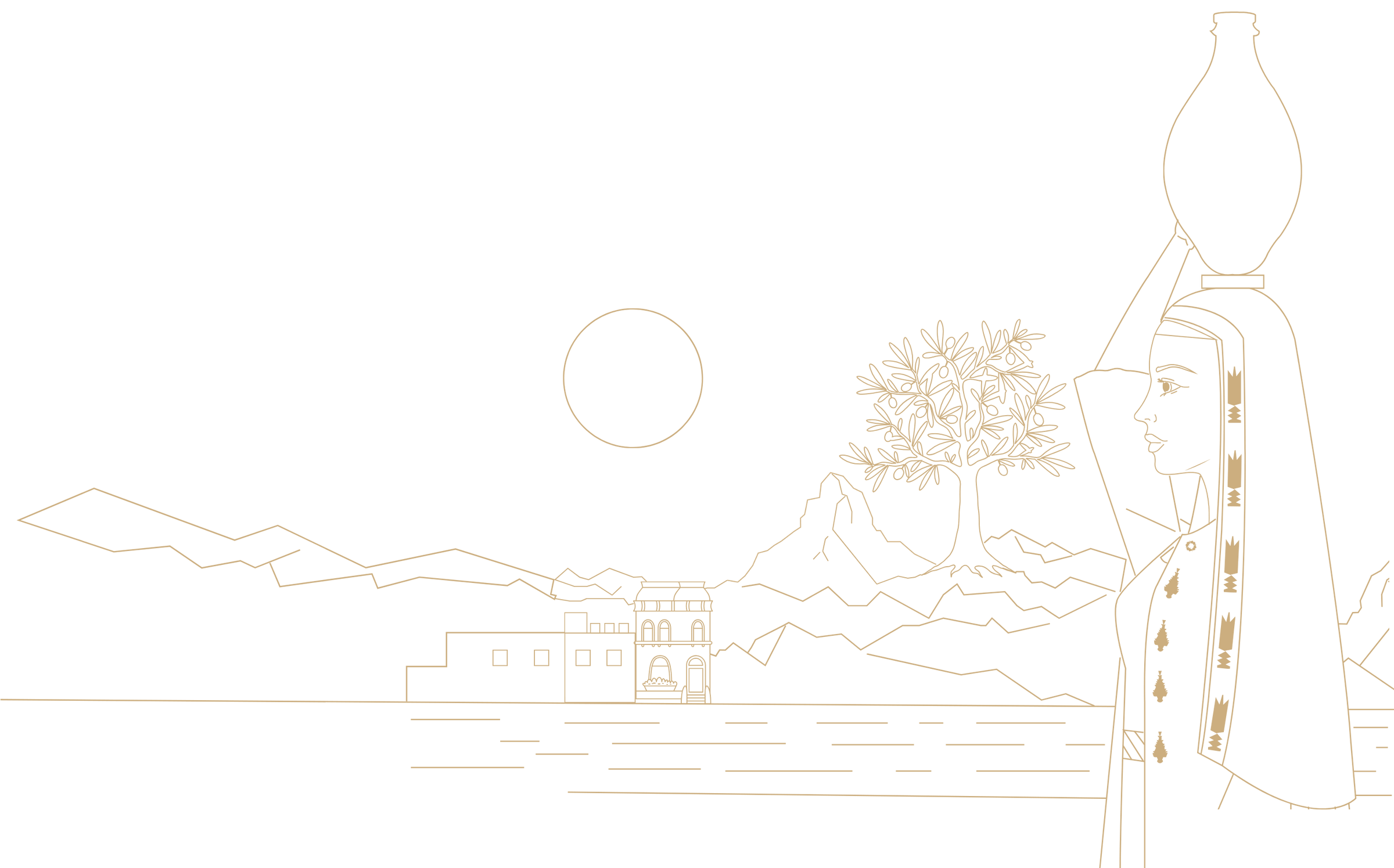 Barakeh olive oil line art